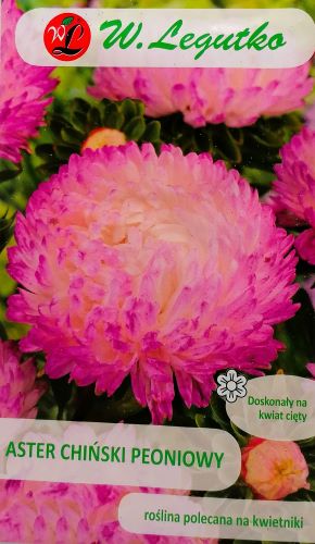 Aster China Peony Pink White Seeds
